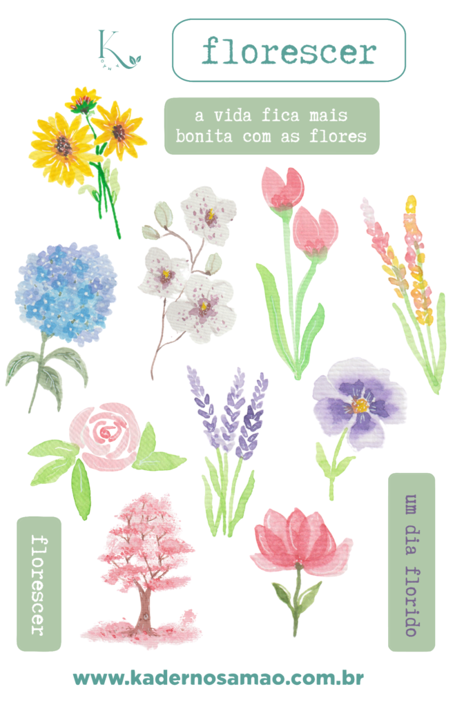 cartelaflores